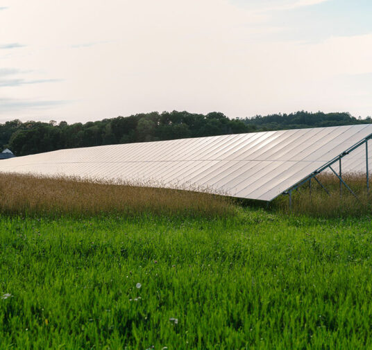 Nu inleds bygget av stor solcellspark i Djurås